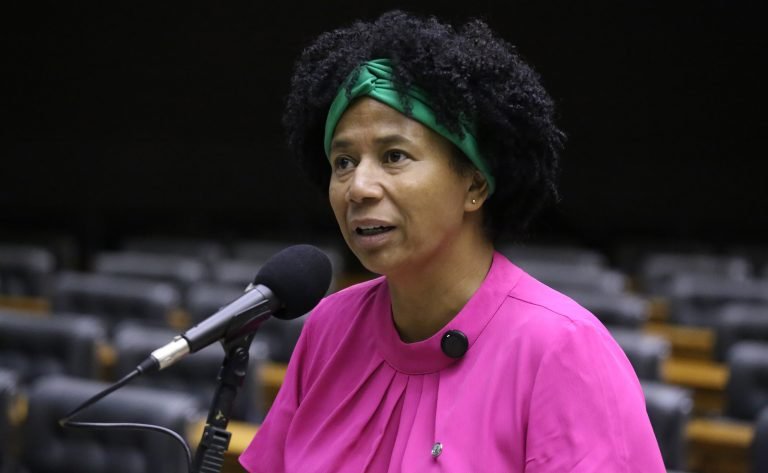 Discussão e votação de propostas legislativas. Dep. Silvia Cristina (PP - RO)