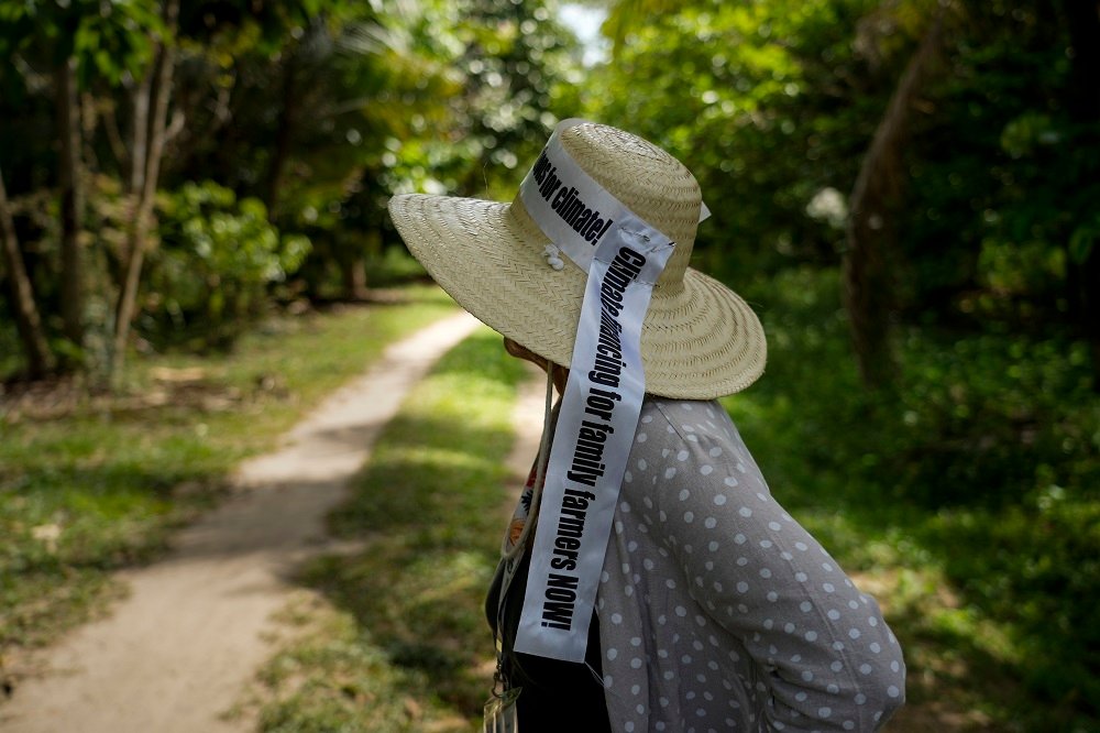 Agricultora familiar florestal que produz alimentos em sistema agroflorestal desenvolvido em área degradada em Santa Bárbara, a 100 Km de Belém (Foto: Fernando Martinho/Repórter Brasil)