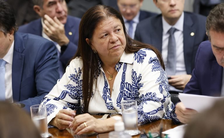 Reunião com o ministro da Educação, Camilo Santana. Dep. Laura Carneiro (PSD-RJ).