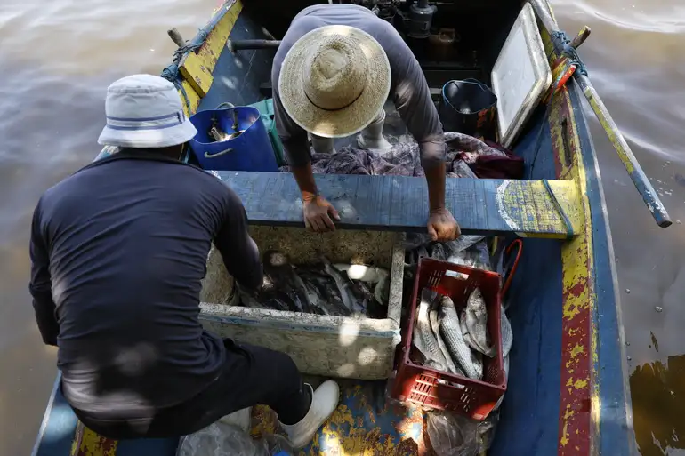 Pesca artesanal da tainha na praia do Sossego, na Baía de Guanabara. Foto: Fernando Frazão/Agência Brasil