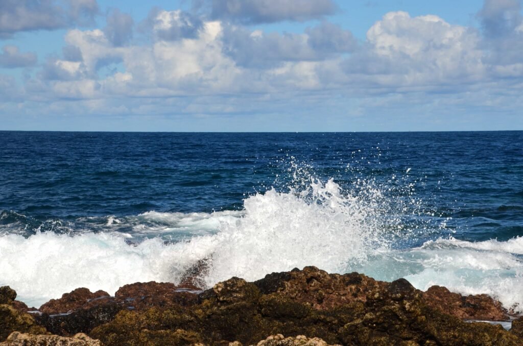 Oceanos cobrem mais de 70% da superfície do planeta e são responsáveis pela absorção de cerca de 30% do carbono liberado na atmosfera, mas ainda ocupam um papel secundário nas negociações sobre o aquecimento global (Foto: Pixnio)