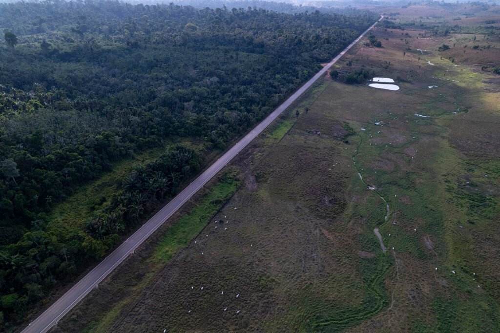 Vista aérea mostra floresta protegida na Terra Indígena Parakanã (à esq.) ao lado de fazendas de pecuária (à dir.), separadas pela rodovia Transamazônica, na região de Marabá, no Pará (Foto: Fernando Martinho/Repórter Brasil/23.09.2023)
