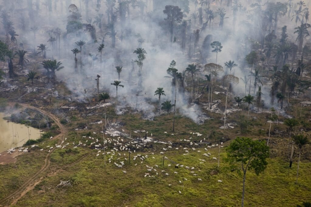No Brasil, a agropecuária respondeu por 70% das emissões de gases de efeito estufa em 2024 (Foto: Daniel Beltrá/Greenpeace)
