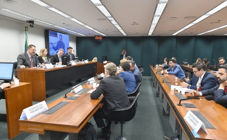 Discussão e votação de parecer preliminar