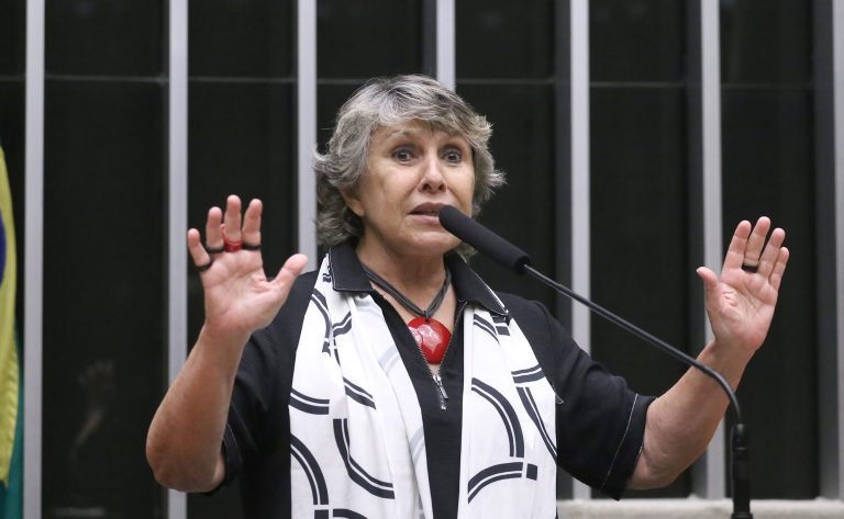 Discussão e votação de propostas legislativas. Dep. Erika Kokay (PT - DF)