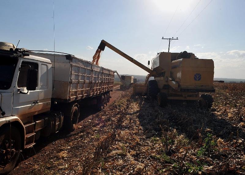 Para pesquisador, o avanço da monocultura de soja em Roraima é resultado de uma série de políticas estaduais de incentivo público de ocupação de terras por produtores privados (Foto: Valter Campanato/Agência Brasil)
