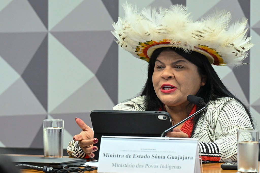 Ministra Sônia Guajajara durante audiência na comissão de Direitos Humanos realizada no Senado, em 10 de dezembro (Foto: Carlos Moura/Agência Senado)