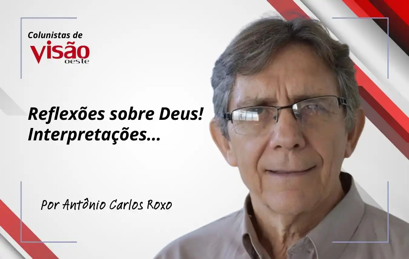 colunistas visão roxo (2)