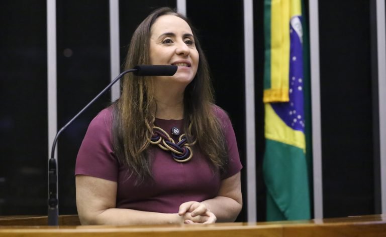 Deputada Adriana Ventura fala ao microfone