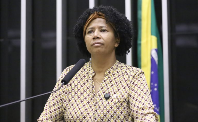 Discussão e votação de propostas legislativas. Dep. Silvia Cristina (PP-RO)