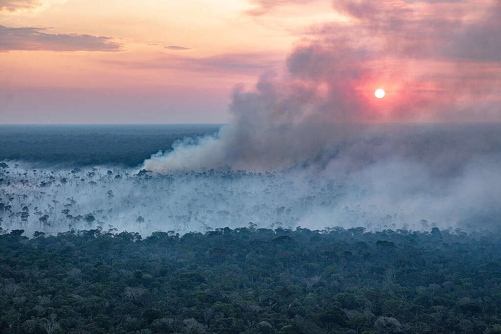 "Na maioria dos países do mundo, o agronegócio é negacionista em relação às mudanças climáticas", diz Carlos Nobre (Foto: Marizilda Cruppe/Greenpeace)