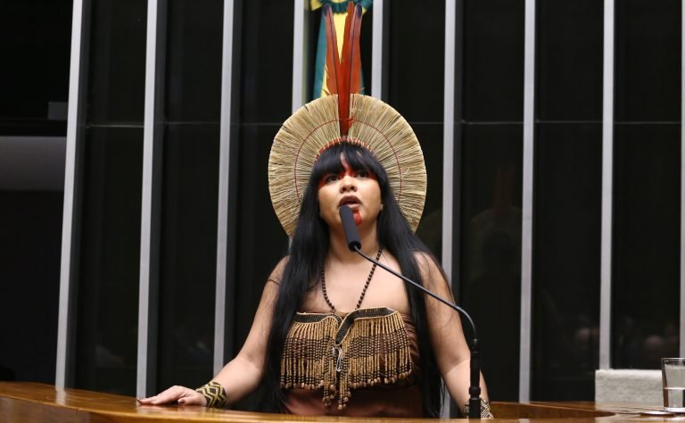 Discussão e votação de propostas legislativas. Dep. Célia Xakriabá (PSOL - MG)