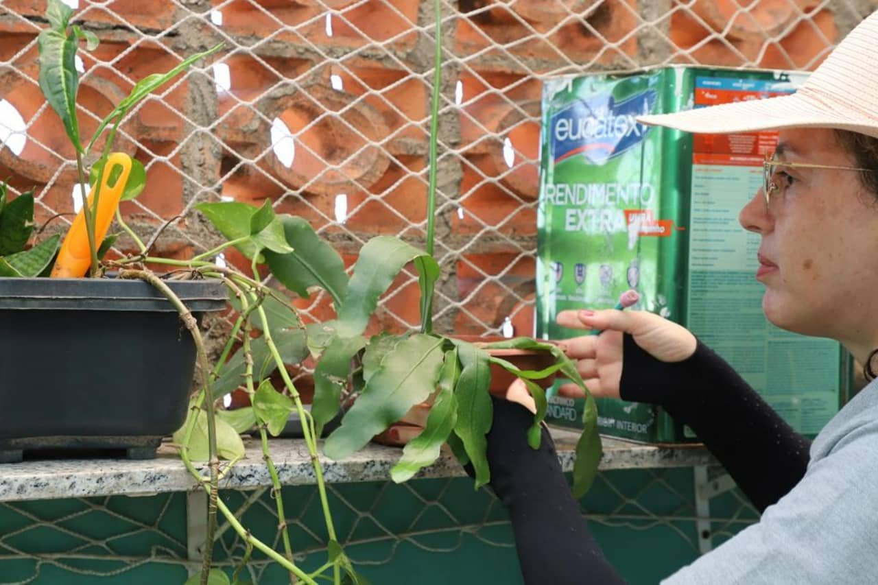 mutirão combate a dengue barueri (1)
