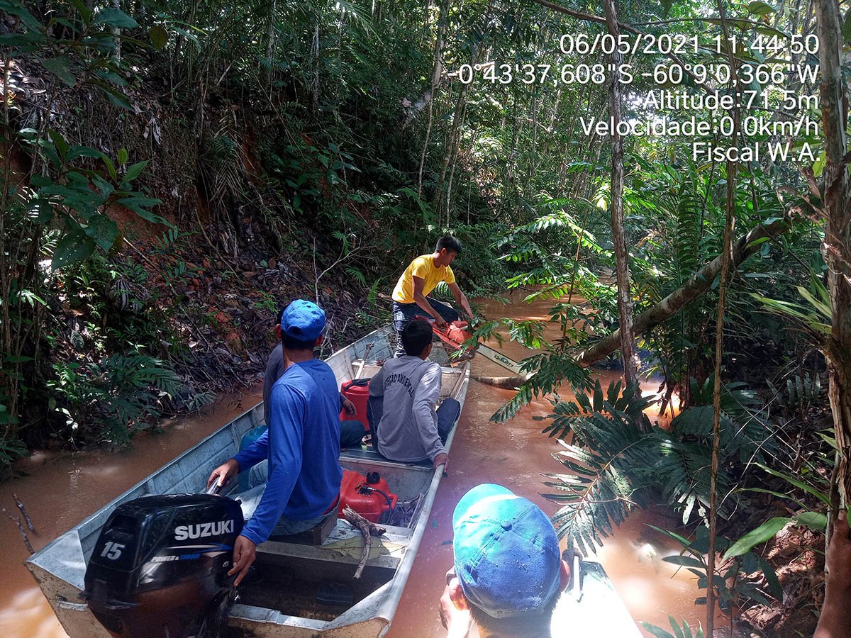 Em 2021 os kinja fizeram várias expedições pelo rio Alalaú e igarapé Tiaraju até encontrarem a origem da poluição no complexo minerário da Taboca. Além da sujeira na água, viram tartarugas e peixes boi mortos. Foto: ACWA (Associação Comunidade Waimiri Atroari)