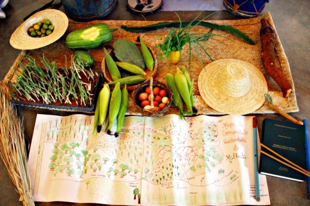 Exemplos da produção dos agricultores familiares da comunidade quilombola de Malhada (Foto: Ione Roachel/Movimento pela Soberania Popular na Mineração/Divulgação)