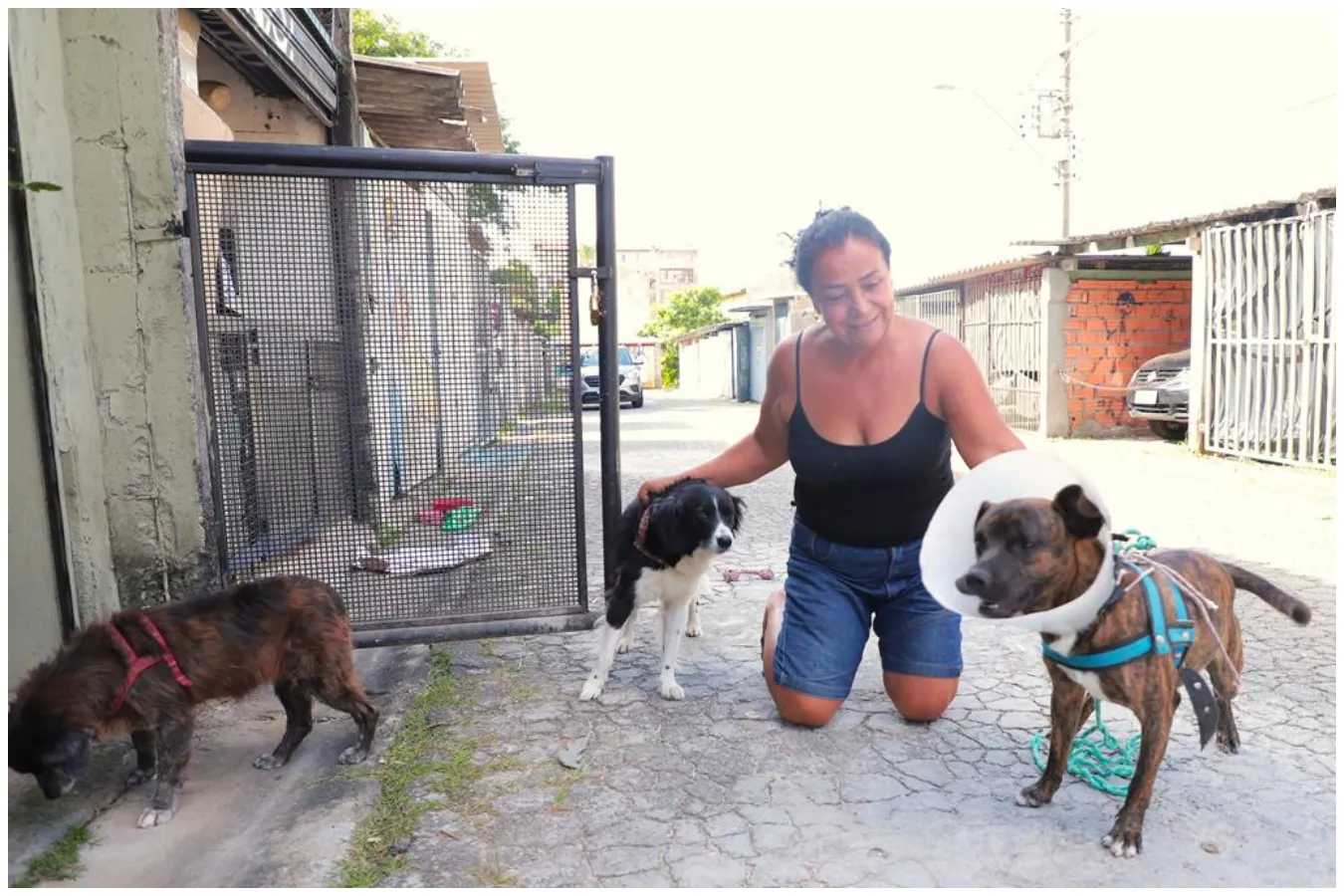 brechó beneficente para ajudar animais em barueri