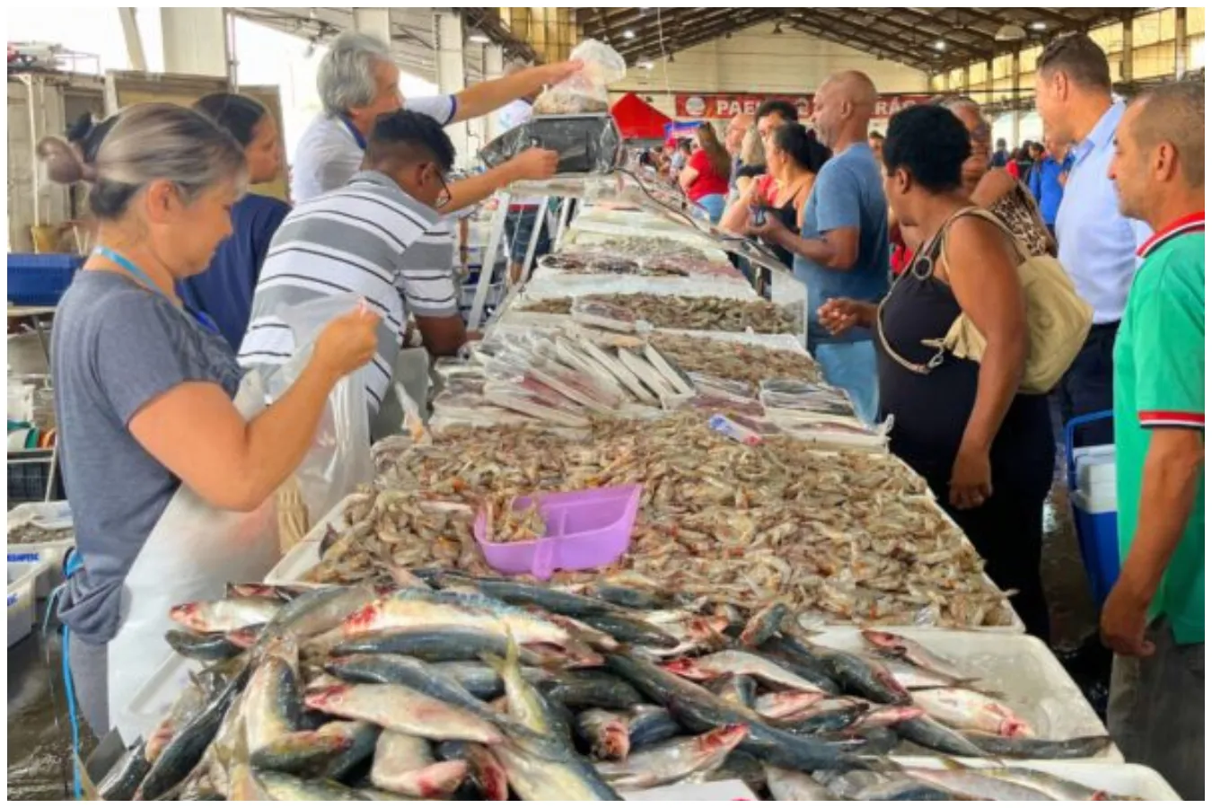 feira do peixe da ceagesp 2026 na semana santa em são paulo