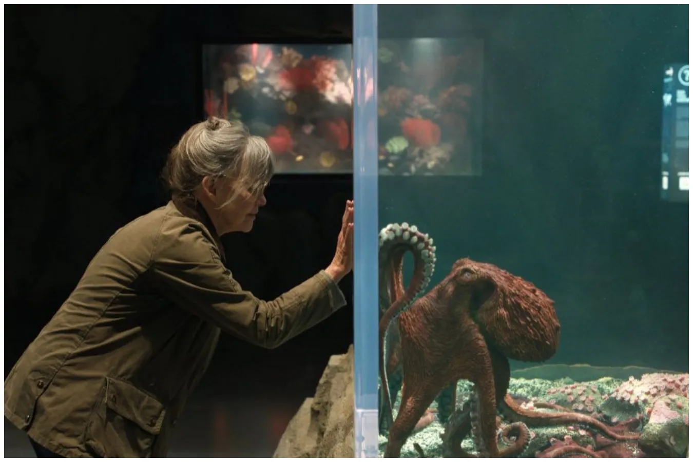 filme criaturas extraordinariamente brilhantes estreia 8 de maio na netflix