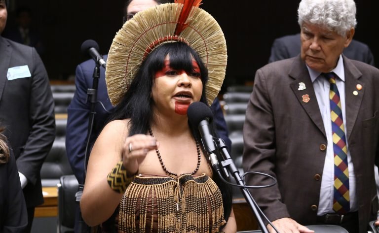 Discussão e votação de propostas legislativas. Dep. Célia Xakriabá (PSOL - MG)