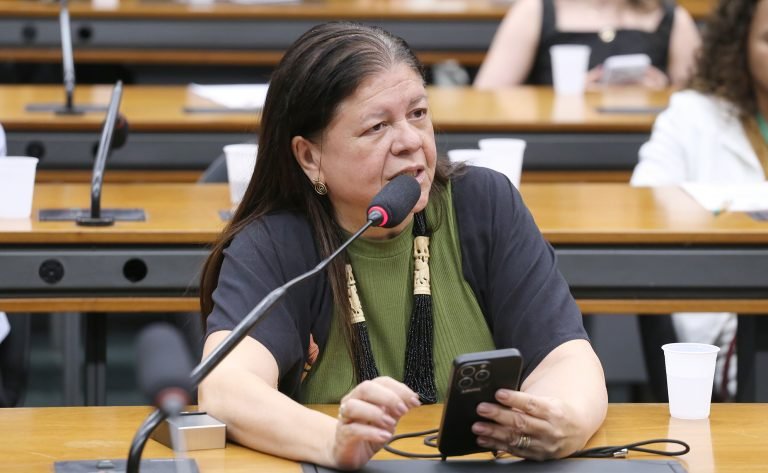 Reunião de Instalação e Eleição de Presidente e Vice-Presidentes. Dep. Laura Carneiro (PSD - RJ)