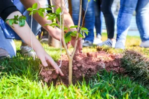 Parque da Cidade recebe plantio especial pelos 67 anos de Itapevi