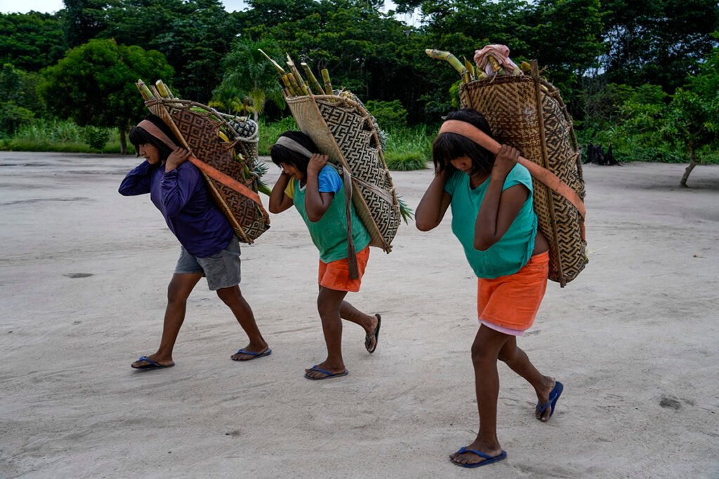 Manaus, Amazonas, Brasil 20/10/2025 Mulheres carregando frutas e vegetais da roça para a aldeia. Imagens sobre o povo Waimiri Atroari em sua Terra Indígena na divisa dos estados de Roraima e Amazonas. A série de reportagens irá focar nos abusos, desafios e crimes que esse povo enfrenta desde a época da ditadura militar até os dias de hoje. Grandes empreendimentos, como a construção da BR-174, a exploração da mineradora Taboca/Paranapanema, a usina hidrelétrica de Balbina e o linhão da Eletronorte foram e são um desafio para os Waimiri Atroari. Fotos: Fernando Martinho.