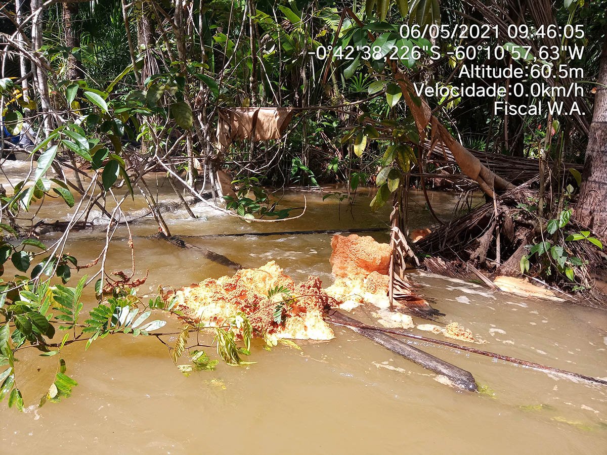 Em 2021 os kinja fizeram várias expedições pelo rio Alalaú e igarapé Tiaraju até encontrarem a origem da poluição no complexo minerário da Taboca. Além da sujeira na água, viram tartarugas e peixes boi mortos. Foto: ACWA (Associação Comunidade Waimiri Atroari)