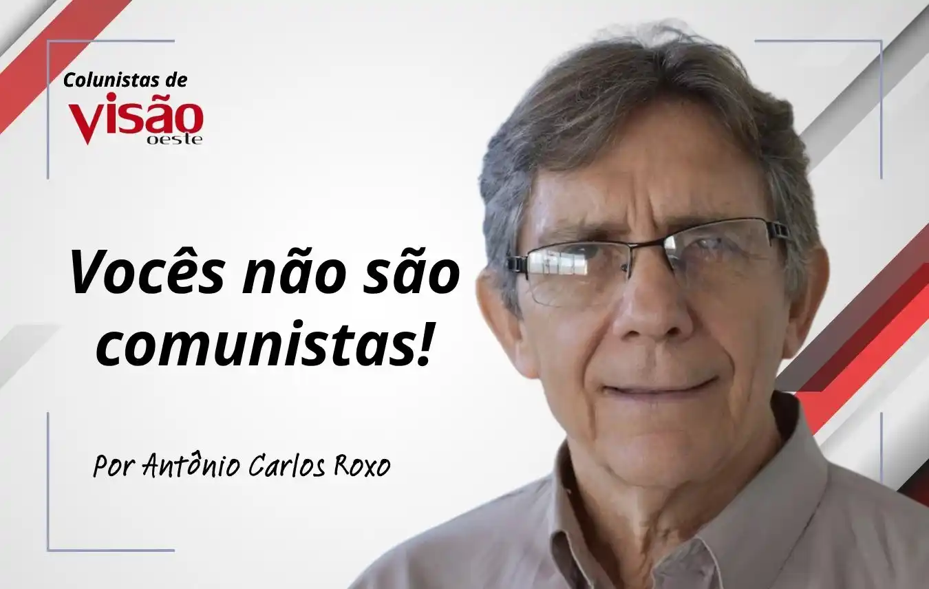 colunistas visão roxo (4)