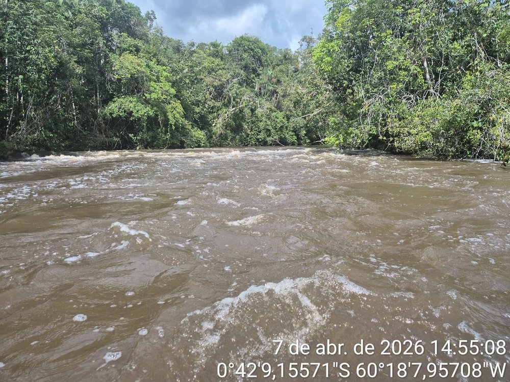 No alto, o encontro do Igarapé Tiaraju com o rio Alalaú, rios de águas escuras, em imagem de outubro de 2025; acima, imagem feita pelos indígenas no mesmo local, em abril de 2026, mostra o Tiaraju com águas barrentas alguns metros antes do encontro com o rio Alalaú (Fotos: Fernando Martinho/Repórter Brasil/Out.2025 - Reprodução/ACWA/07.04.26)
