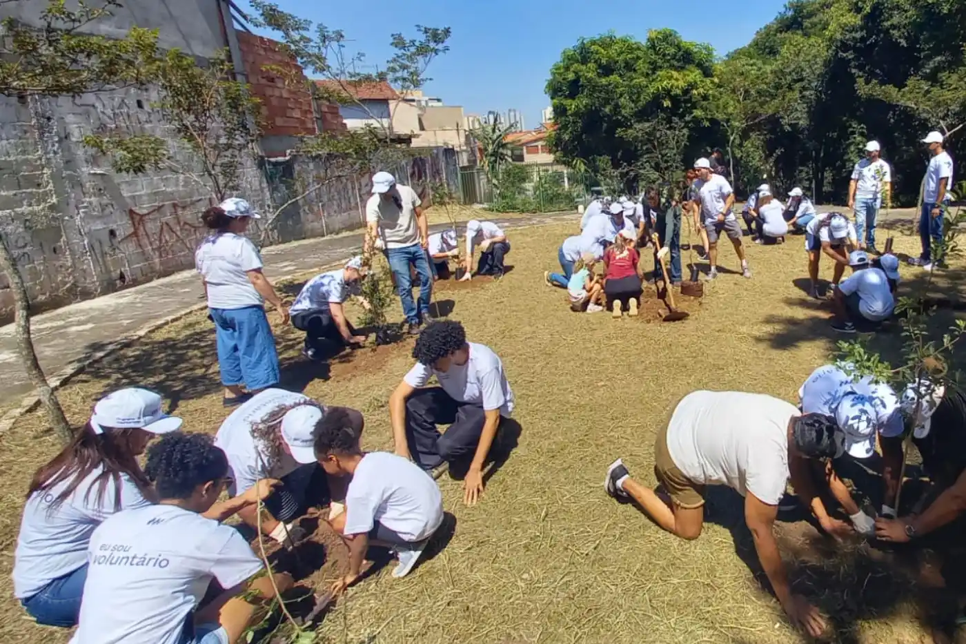 pomares urbanos osasco (1)