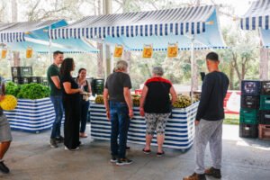 Programas da Prefeitura ultrapassam 18,8 toneladas de hortifrutis distribuídas a famílias e idosos