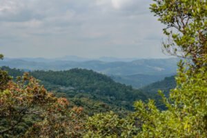 Serra do Japi ganha novas ações de proteção, tecnologia e educação ambiental