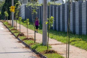 Mudas produzidas pela Unidade de Desenvolvimento Ambiental ampliam arborização de Jundiaí