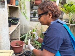 Cajamar intensifica ações de combate ao mosquito durante a Semana de Prevenção às Arboviroses